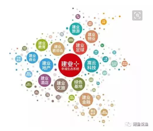 建业地产管理模式,建业地产核心竞争力