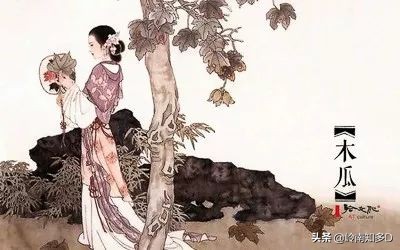 木瓜的学名还有哪些,木瓜科普知识