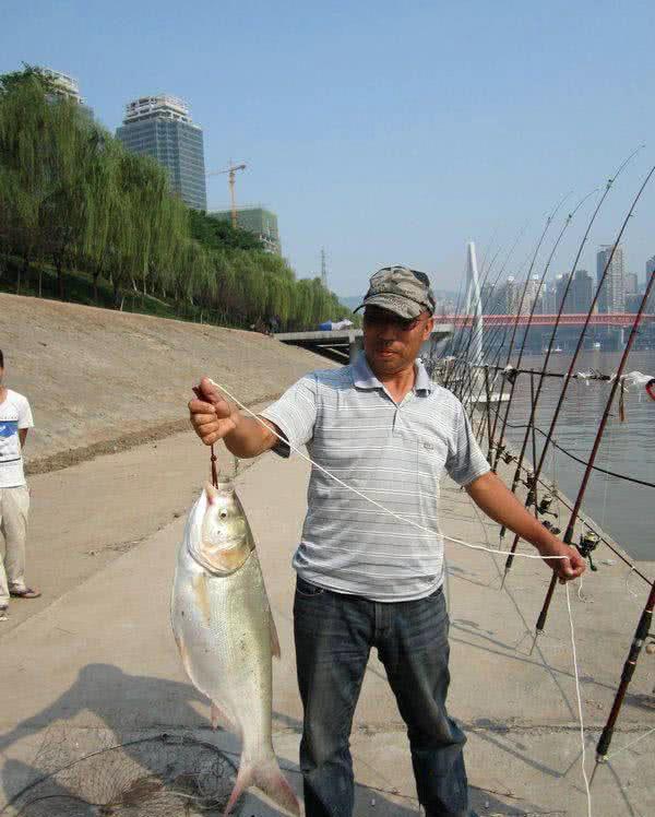 好多人都钓不到鱼,很多人钓不到大鱼