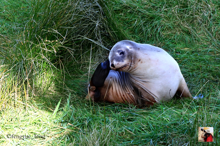 新西兰有哪些景观,新西兰风景最好的地方在哪里