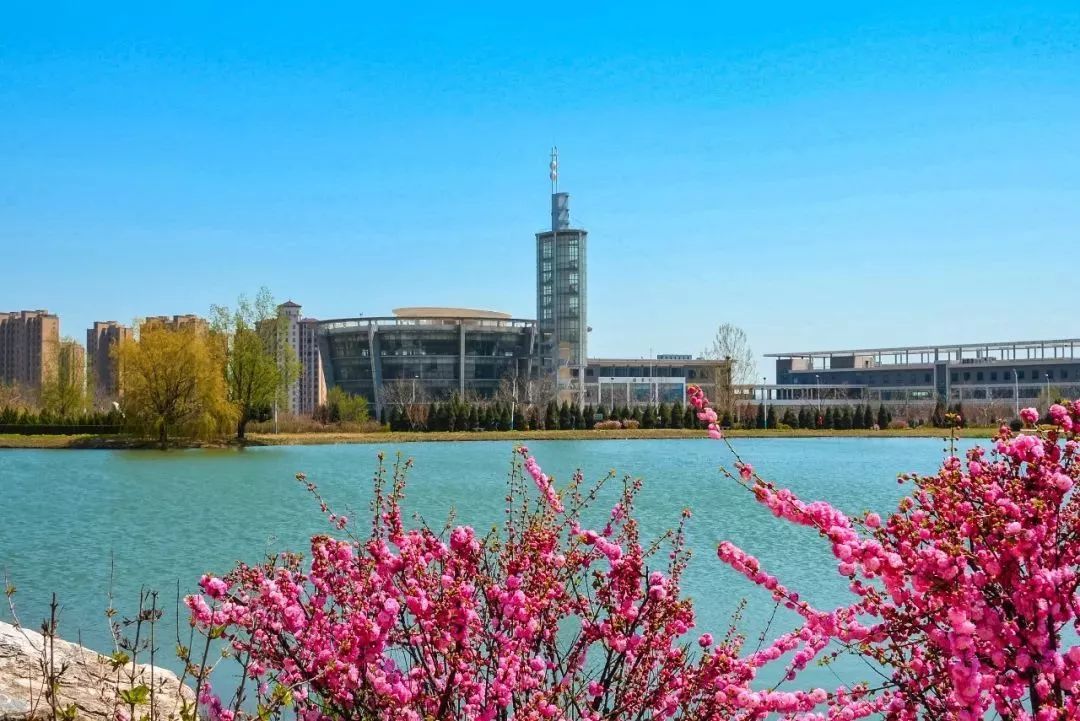 大连理工大学毕业生最后怎么样了?3成留大连,年薪7.28万