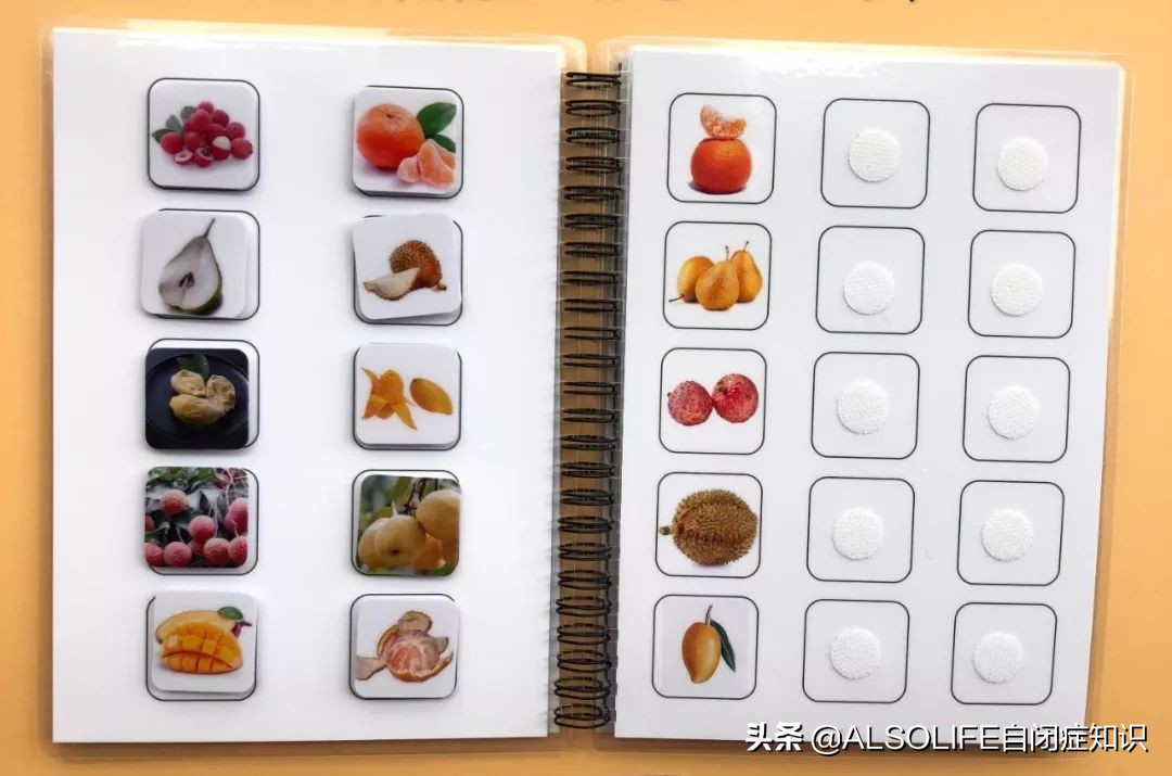 一整个切块的苹果,把一个苹果切成两半体积有变吗