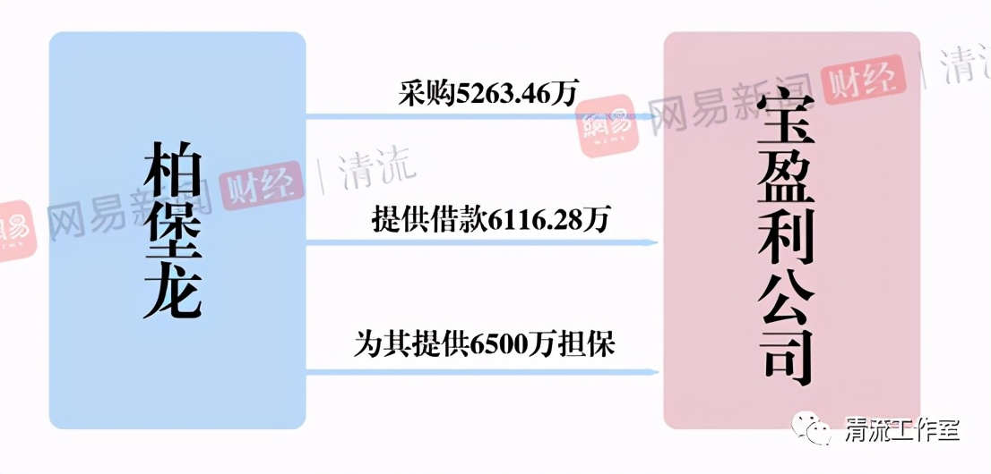 柏堡龙股份现状,柏堡龙这家公司是否已倒闭