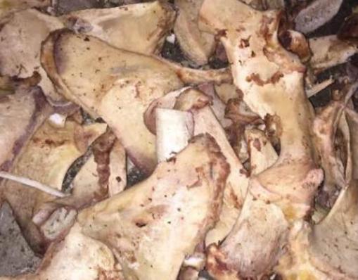 猪骨头熬汤能浇花吗,熬酥的猪骨能当肥料吗