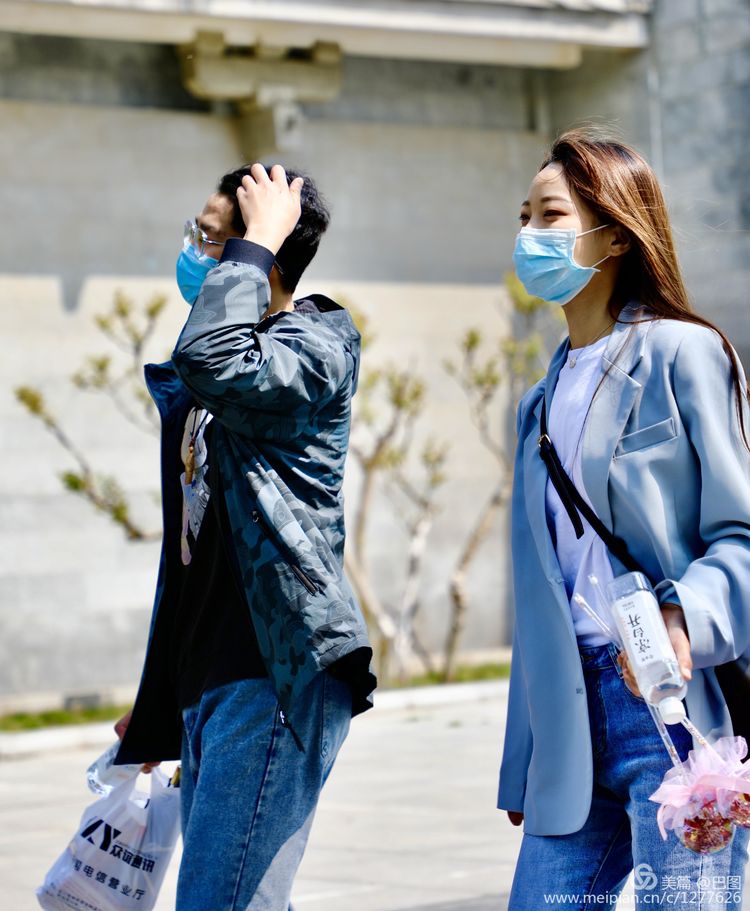 看洛阳牡丹花卉节,洛阳古都牡丹花展