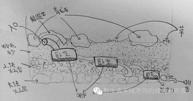 养仓鼠怎么给仓鼠洗澡,仓鼠浴室里仓鼠是怎么洗澡的