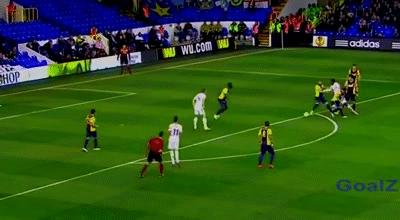 插花脚射门扎哈维,最惊艳的插花艺术