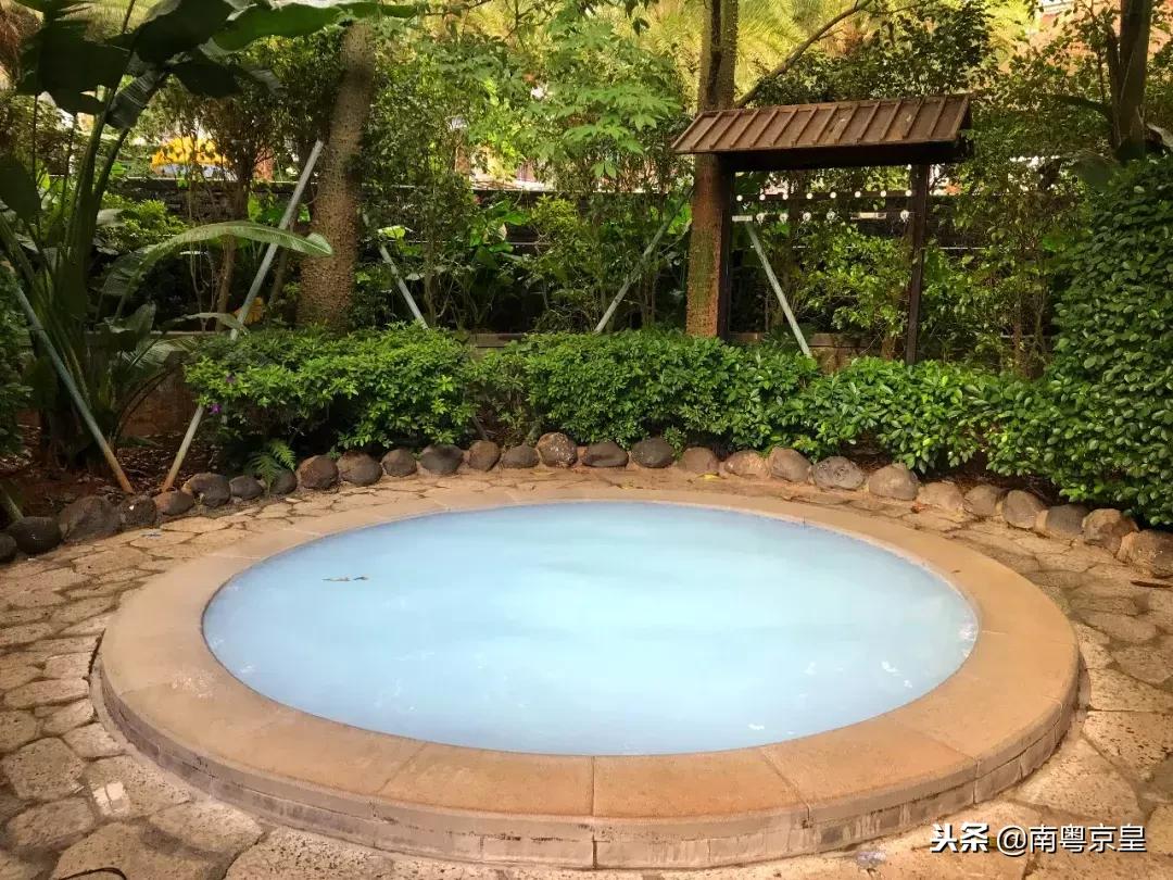 温泉季,到冬无严寒的湛江雷州樟树湾五星温泉度假村二日游