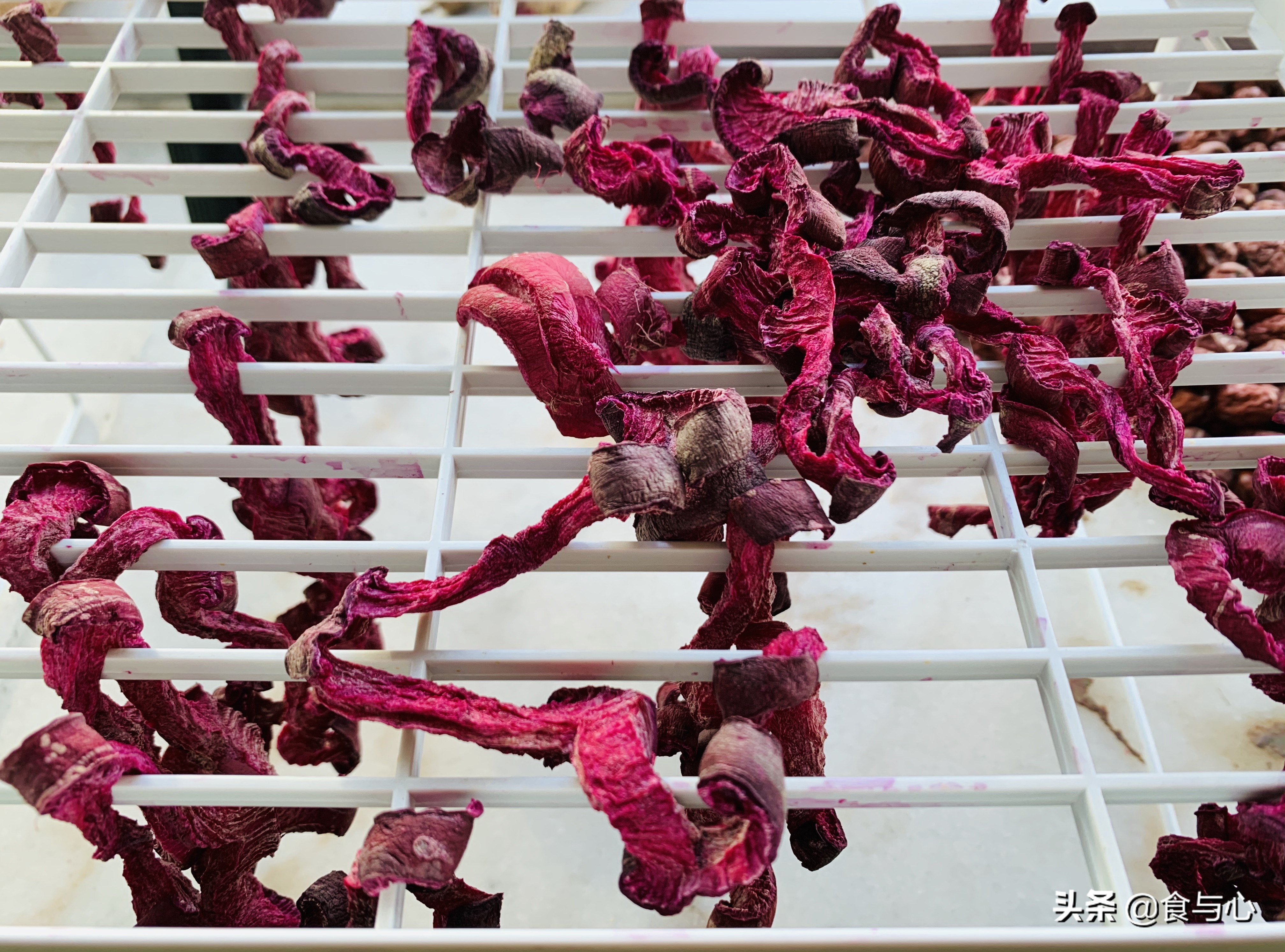 每日健康美食101种,一周健康营养美味食谱