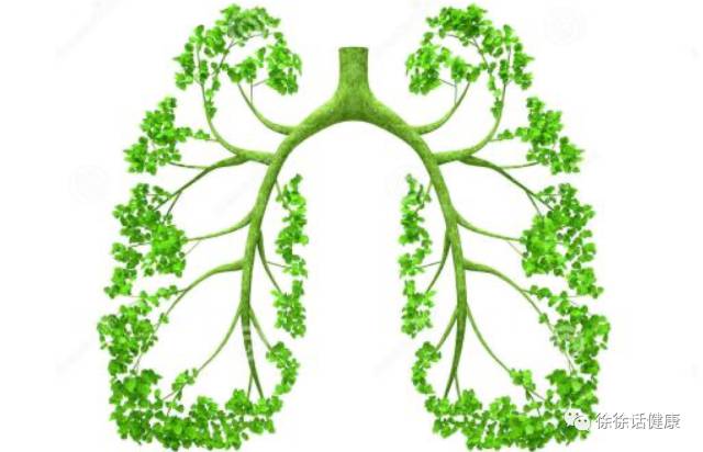 橘子皮晒干就是陈皮吗,风干的橘子皮算陈皮吗