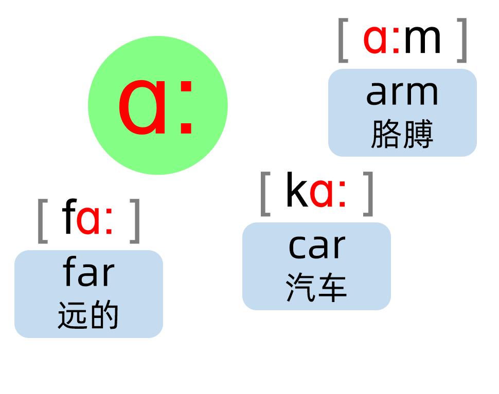 英语音标零基础速成身体记忆,英语音标学习卡片