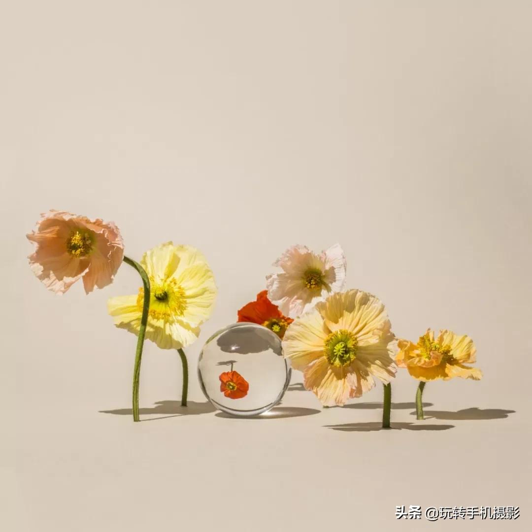 宅宅的风格拍照,绝美宅家拍照教程秒get氛围感照片