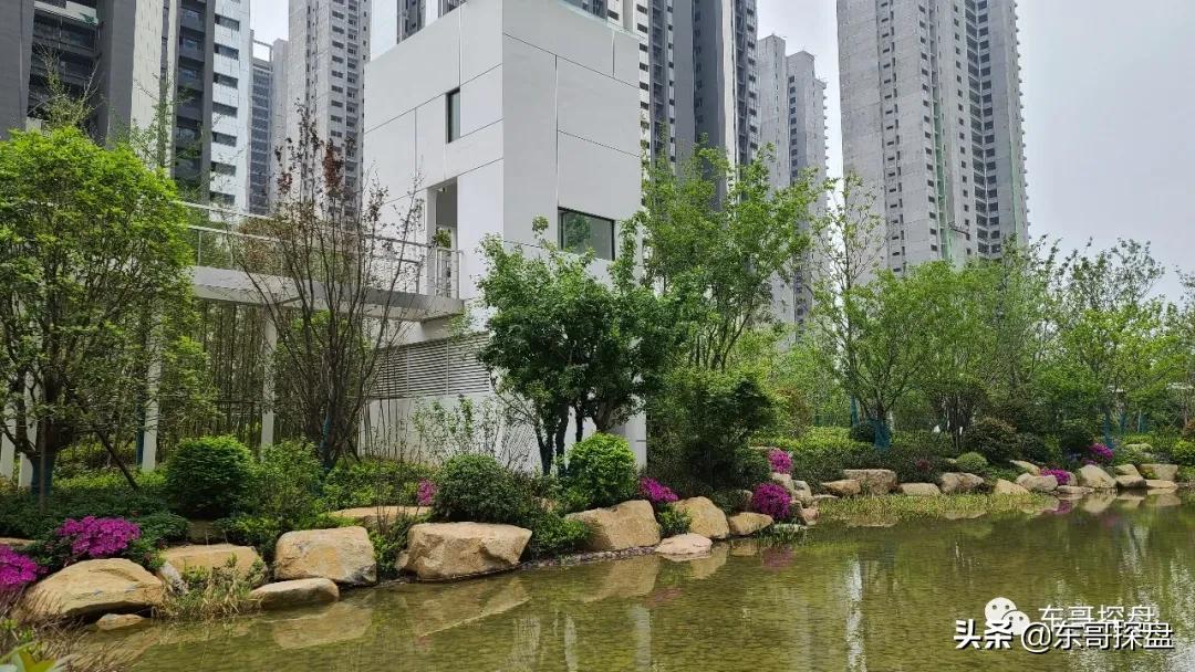 万万没想到，他捅了郑州刚需盘的“窗户纸”