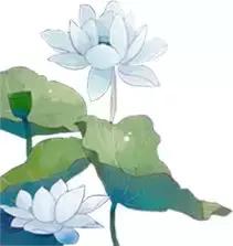 职场干货网址,网址干货收藏