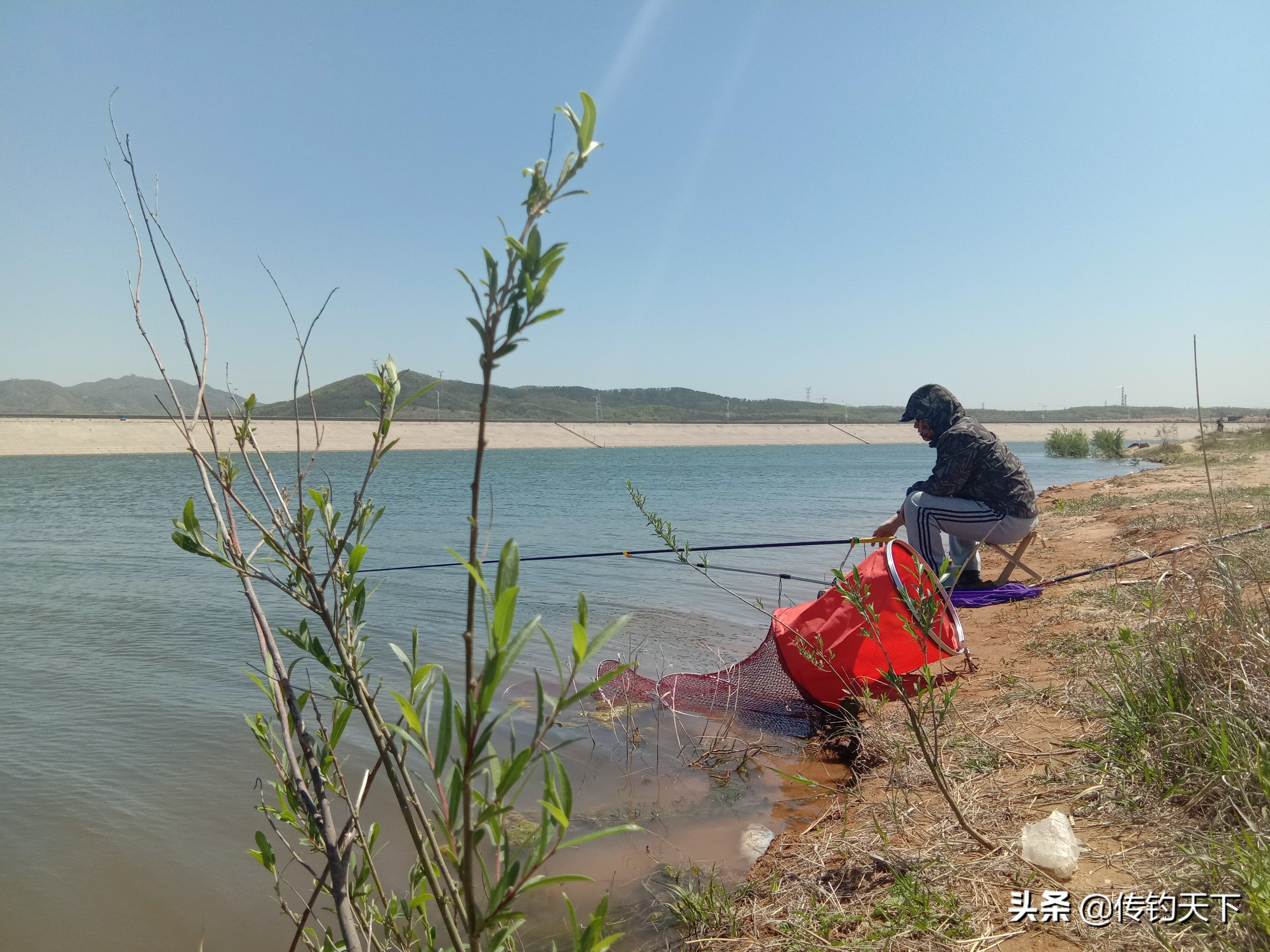 冬钓可用米饭做饵,馊了的米饭打窝钓鱼好用不