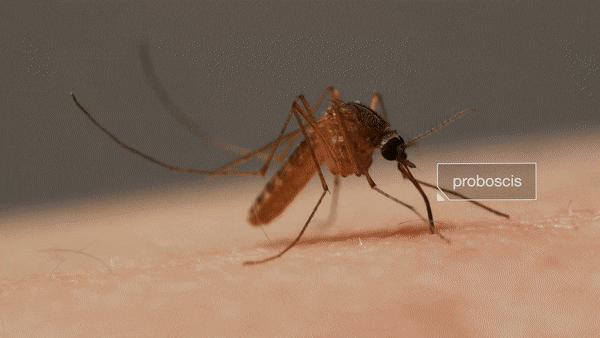 用什么止痒最快,用什么止痒