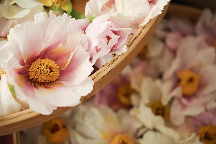 清新而优雅的香味,书香清雅入骨许你气质绝尘