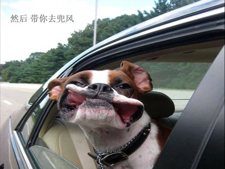 我只想说声爱你,只想再爱你一次