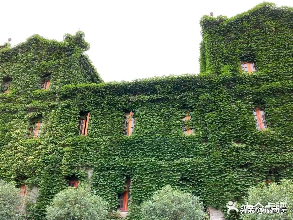 成都318自驾路线必去小众的景点,成都小众但值得去的地方