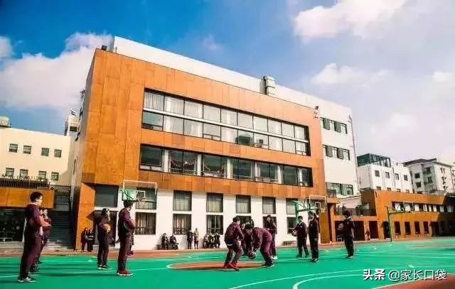 上这些小学就傍上了国外名校大腿！上海国际资源牛掰的小学在这里
