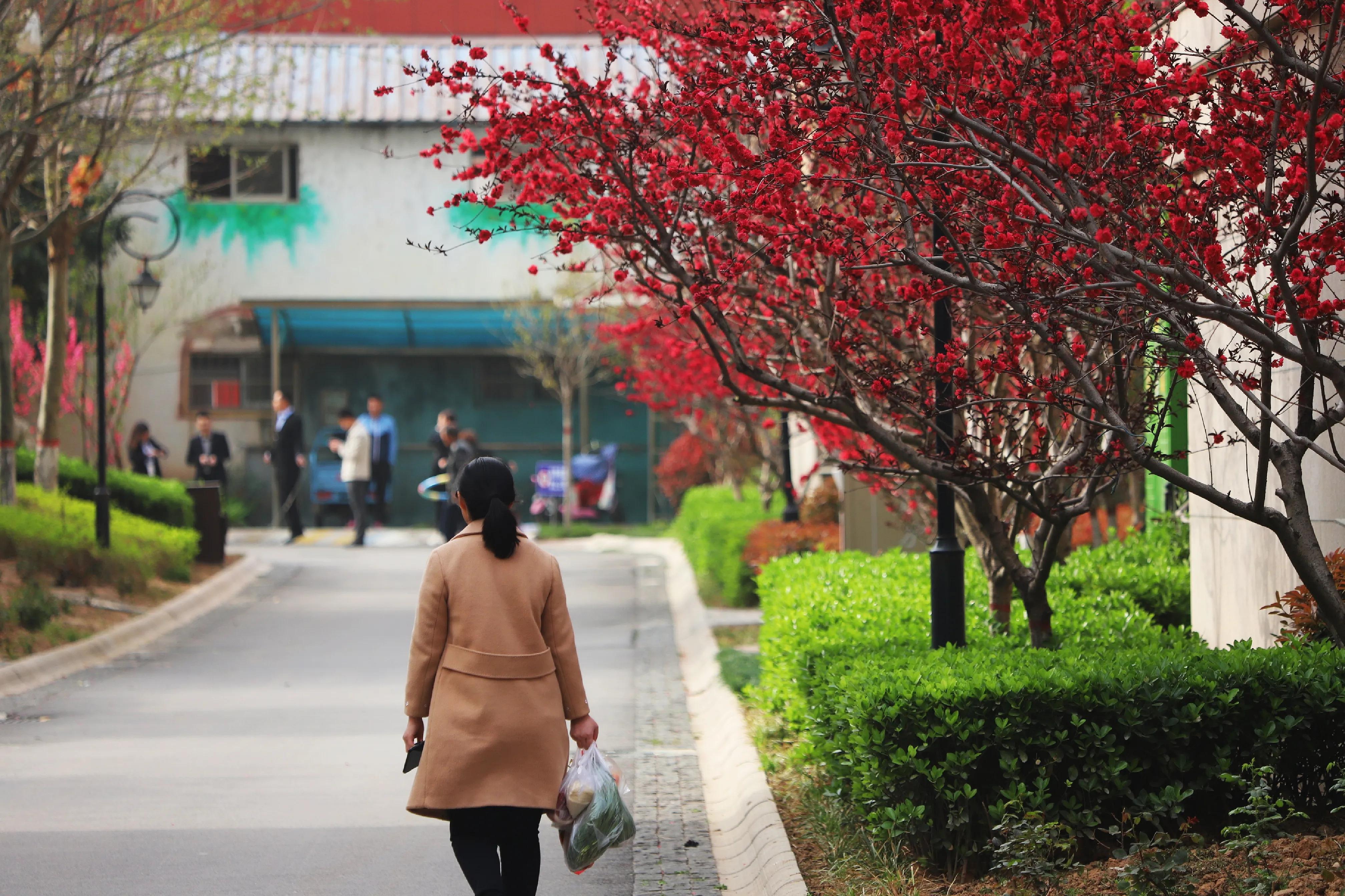 骏景花园116平米,骏景花园小区效果图