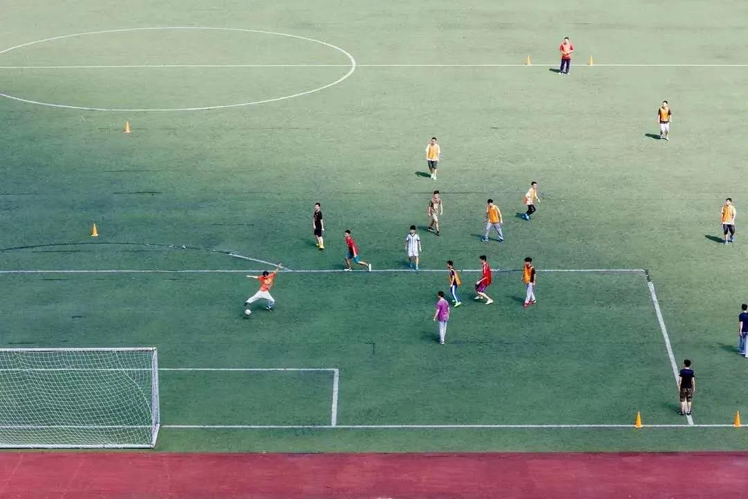 报考华南农业大学,华农报录比