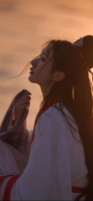 中国十首爱国之情最强烈的诗,古诗三首表达爱国情怀的诗句