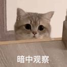 华中科技大学与同济大学比哪所好,武汉大学华中科技大学谁更好一些