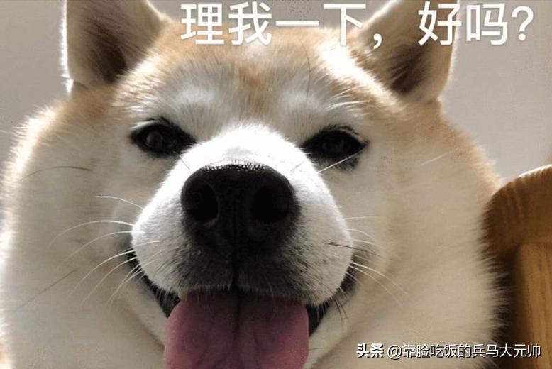 如果被狗舔了会怎么样,突然舔狗子会发生什么