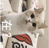 测18款美白精华,9款有效美白,但其中4款用了要出大问题?