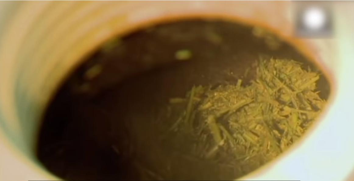 给牛身上开洞,牛身上的洞是怎样开的