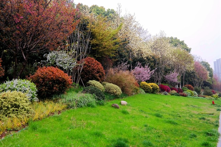 我们可以了解黄鹤楼的哪些内容,黄鹤楼简介和历史讲解