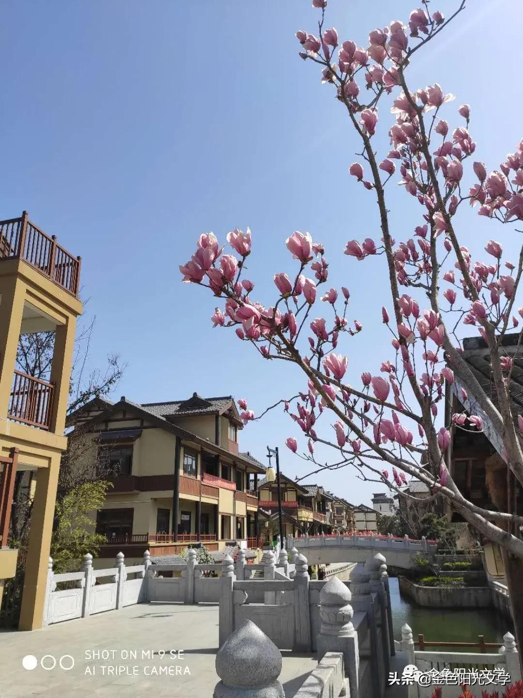 老师送了本书给我我该怎么感谢,老师送了我一本书