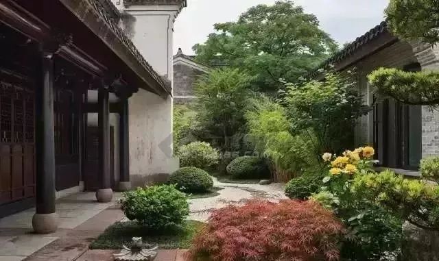 中国人的院子,中国人的院子深度解析