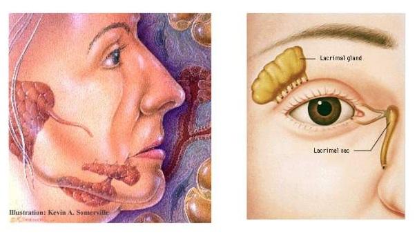 口干舌燥综合症怎么治,龋齿会导致口干怎么办