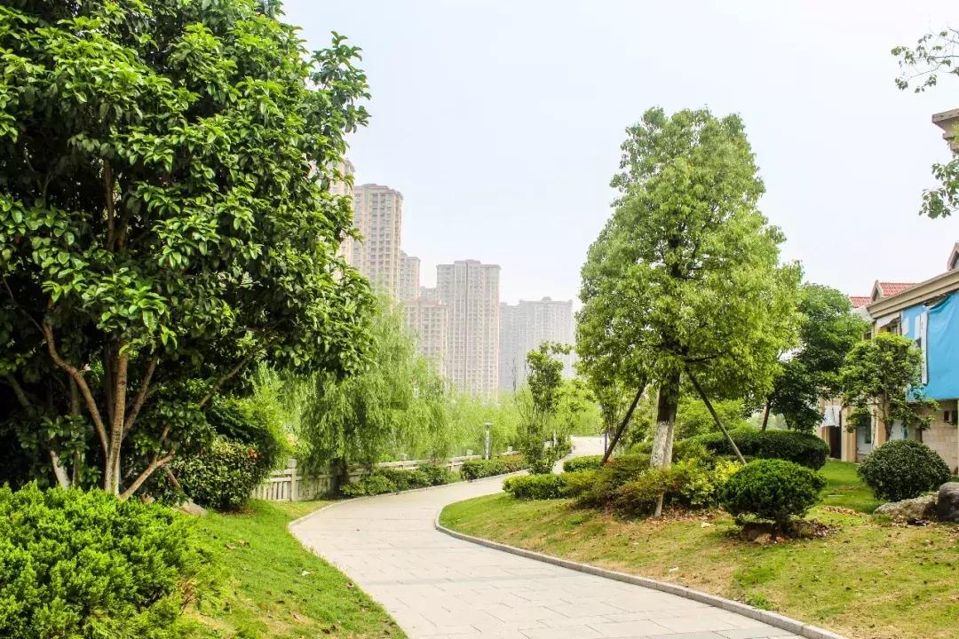 杭州湾世纪城网红打卡,杭州湾世纪城实景