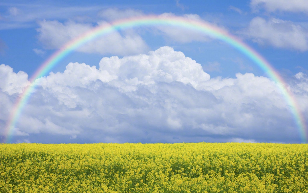 孩子的手过敏红肿怎么办,五个月宝宝手红肿了怎么回事