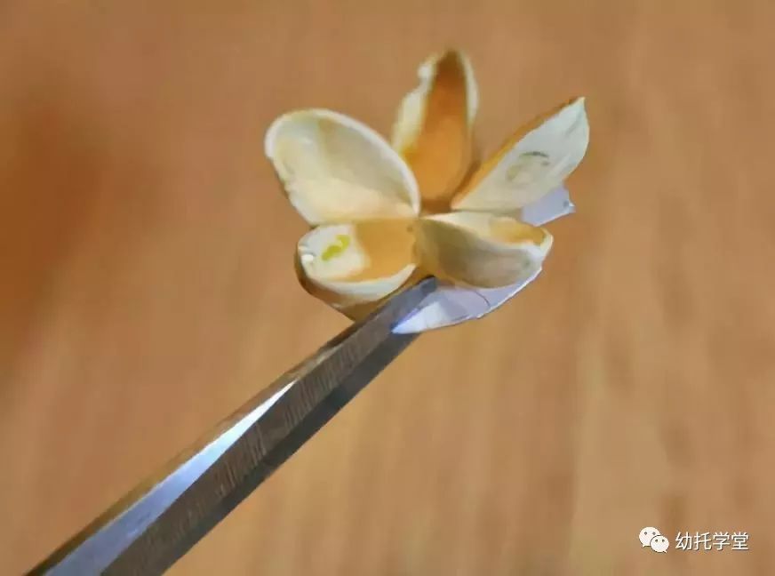 废物利用亲子手工制作坚果,创意坚果手工制作大全图片