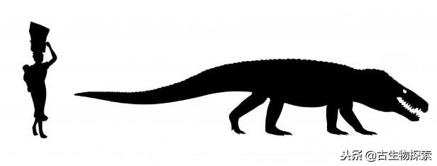 史前巨鳄陆地速度排行榜,史前巨鳄一排一排的从小到大