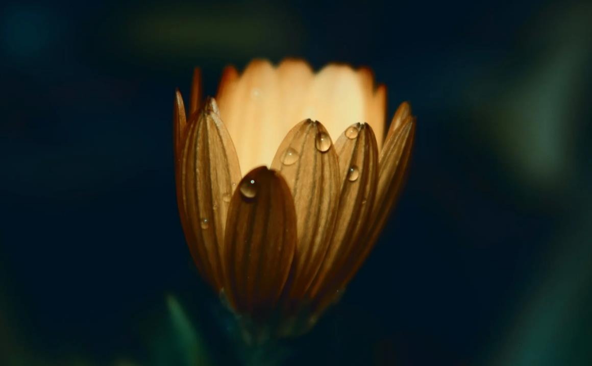 活期存款的产品内容,活期存款的钱怎么使用