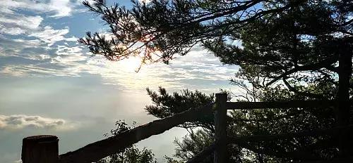 采一片天竺山的云朵别在发梢，带你感受云中漫步的奇妙幻境