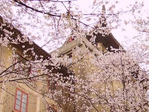 武汉孕妇放弃治疗,湖北武汉孕妇