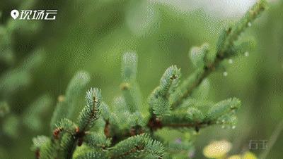 太原人眼中的太原,山西太原人说山西好风光