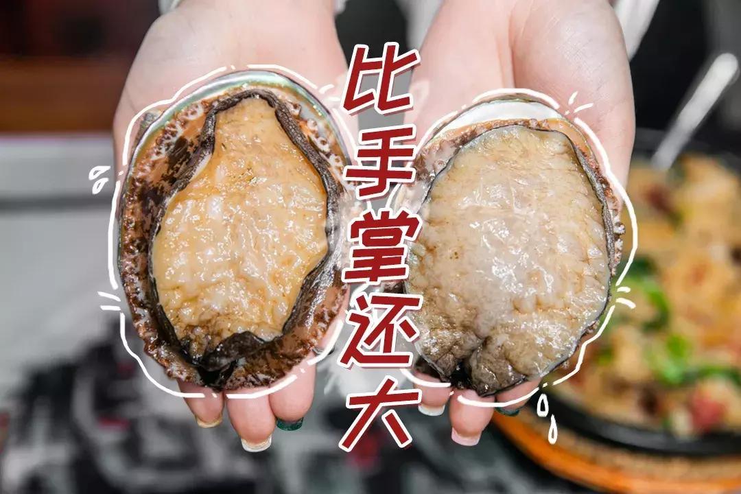 魔都惊现「2层楼小香港」,卖“蹦迪海鲜”!花胶鸡、6头鲍免费送