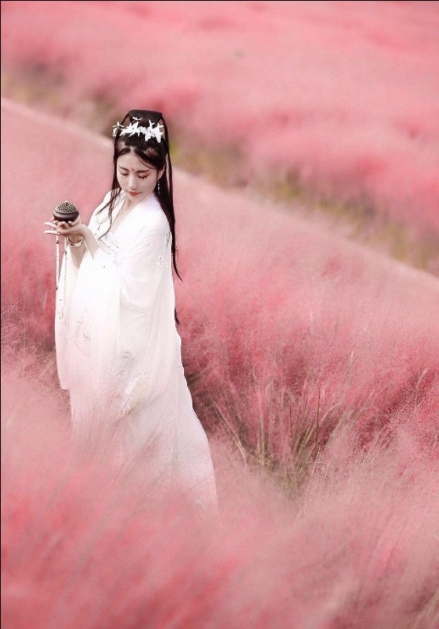 吟风曲歌曲完整版,吟风二胡版