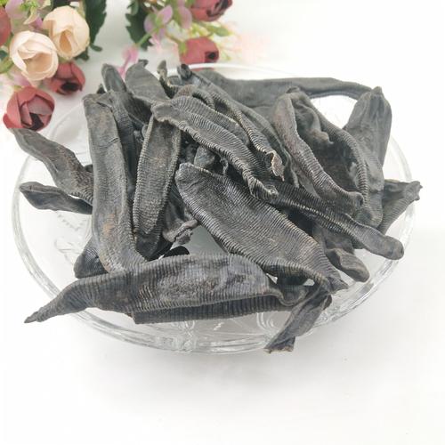 农村常见的“吸血虫”,想不到还有这么高的药用价值,你认识吗