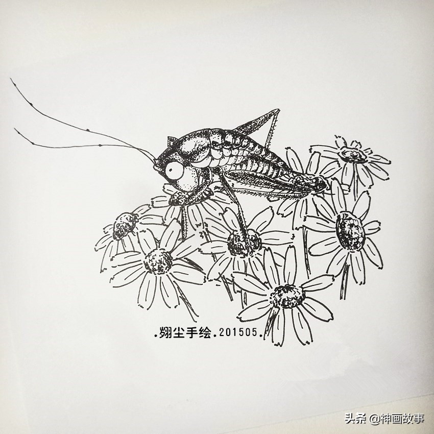 彩铅画q萌的萌宠,怎样画超写实宠物插画