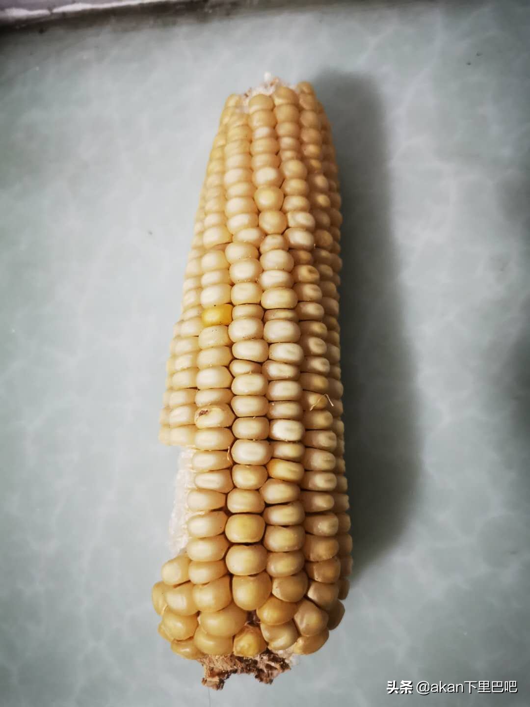 特殊时期的生存方法,特殊时期的生存之道