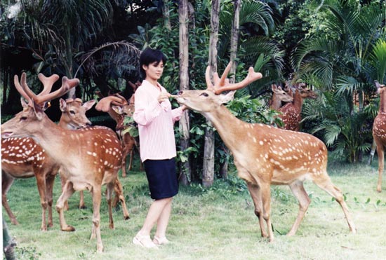 梅花鹿王娇,梅花鹿王娇简历