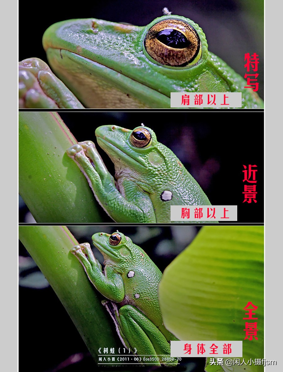 微距和一般摄影有什么区别,摄影写实和写意的区别